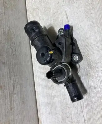 Thermostat/thermostat housing