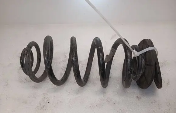 Chevrolet Volt I Rear coil spring 22810673