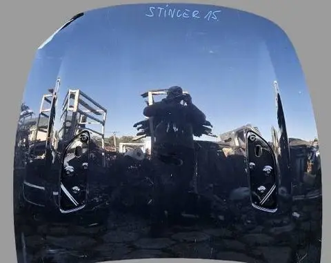 Engine bonnet/hood