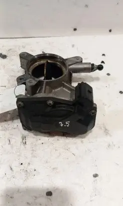Throttle body valve