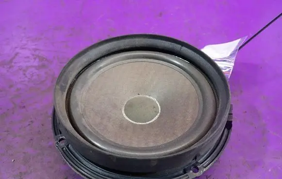 Volkswagen Fox Front door speaker 