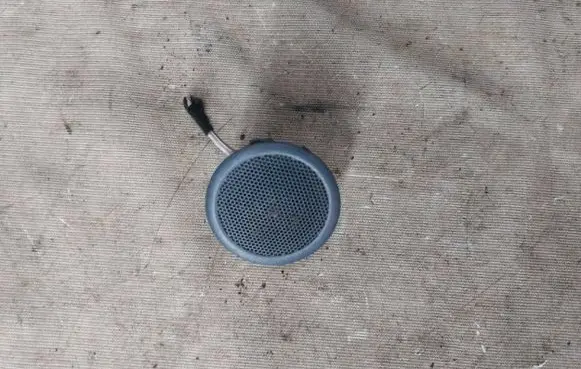 Panel speaker