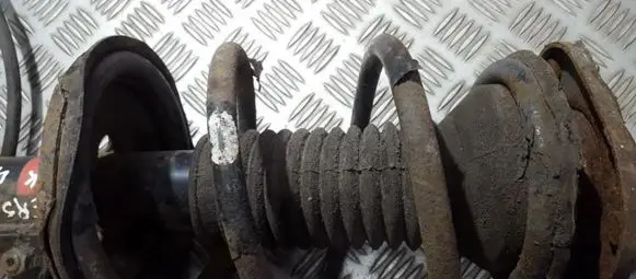 Toyota Corolla Verso AR10 Front coil spring