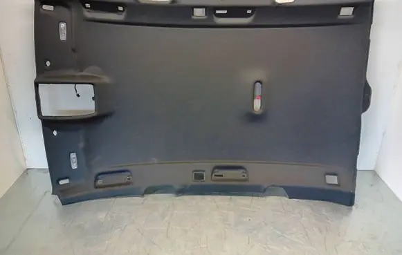 Audi A4 S4 B8 8K Headlining 8K9867505