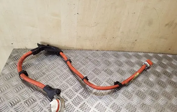 Lexus CT 200H Other wiring loom 8212247010