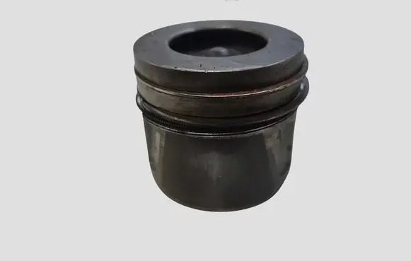 Opel Antara Piston