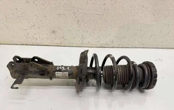 Front shock absorber with coil spring