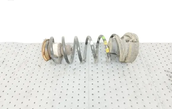 Rear coil spring