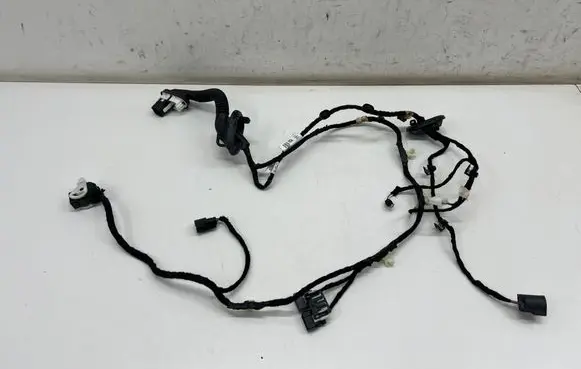 Ford Mustang Mach-E Rear door wiring loom PJ8T14633NBB