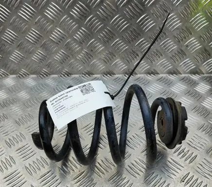 Nissan Leaf II (ZE1) Rear coil spring 550205SJ0A