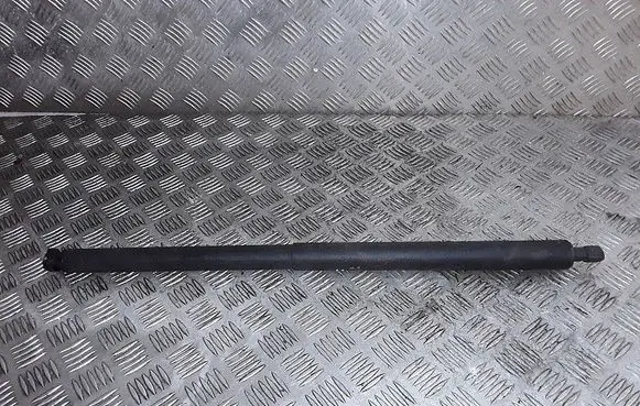 Opel Insignia A Tailgate/trunk strut/damper 13247949