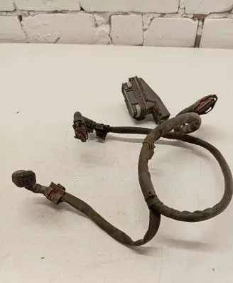 Iveco Daily 35.8 - 9 Other wiring loom 6029005042