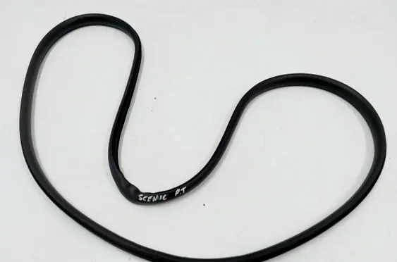 Renault Scenic E-Tech V Rubber seal rear door 