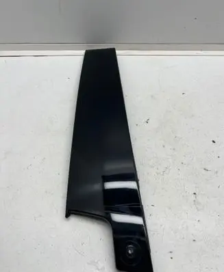 Renault Austral Front door glass trim molding 802849168R