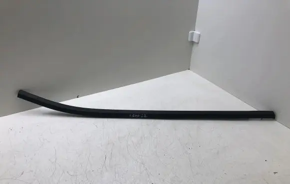 Rear door glass trim molding
