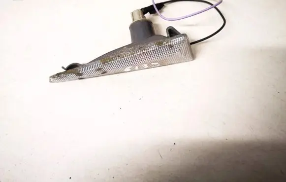 Renault Espace - Grand espace IV Front fender indicator light 8200027150