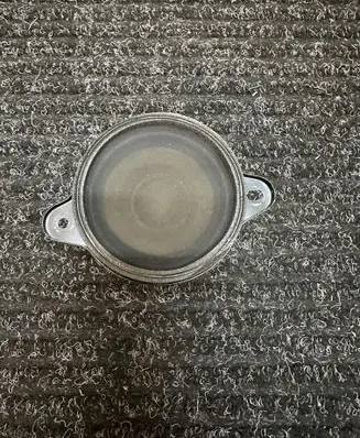 Panel speaker