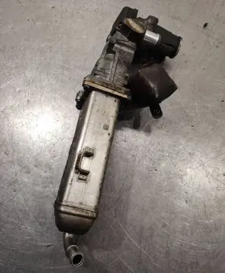 EGR valve