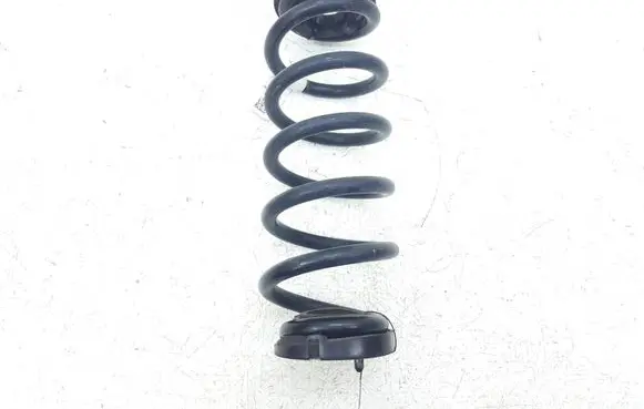 Ford Escape IV Rear coil spring LX615560 LX615560NND L22272019