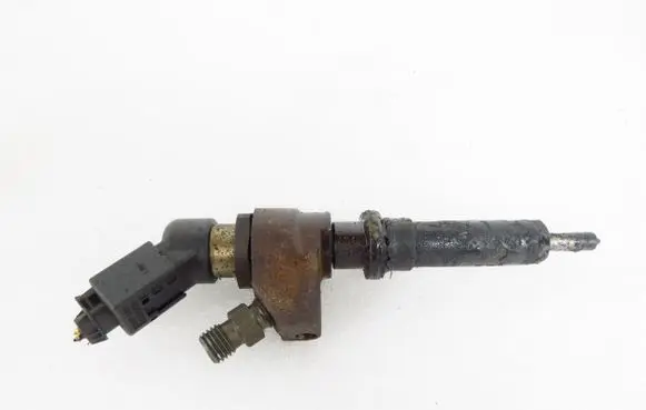 Citroen Xsara Picasso Fuel injector 9636819380
