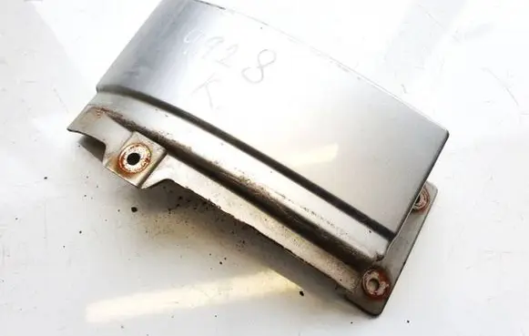 Rear/tail light trim molding