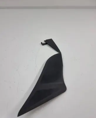 Rear/tail light trim molding