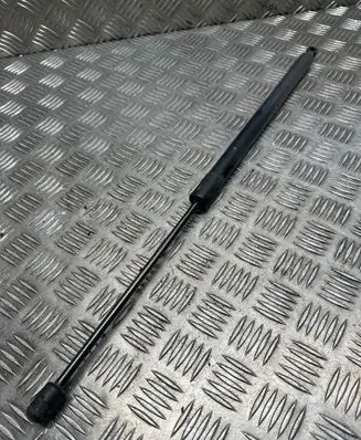 Tailgate/trunk strut/damper