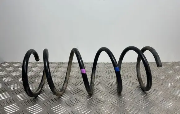 SsangYong Rexton Rear coil spring