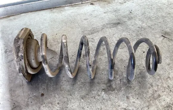 Renault Megane III Rear coil spring 552400003R