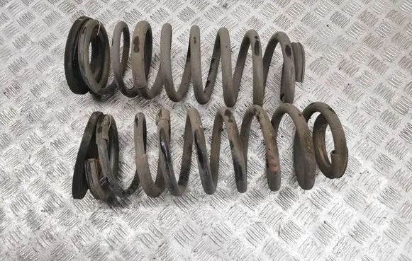 Rear coil spring