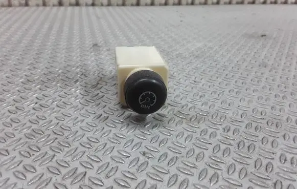 Panel lighting control switch