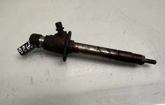 Land Rover Range Rover Sport L320 Fuel injector 6H4Q9K546EB