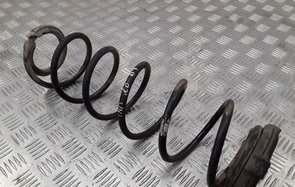 Renault Laguna II Rear coil spring