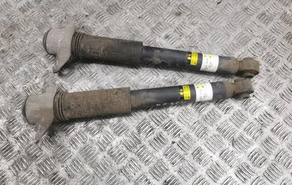 Lexus UX Rear shock absorber/damper 4853076180