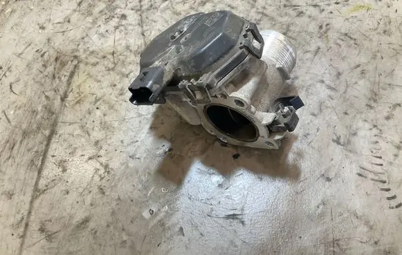 Throttle body valve