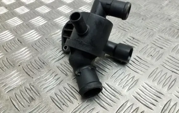 Thermostat/thermostat housing