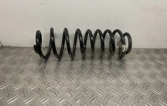 Ford Mustang V Rear coil spring BR335560CB