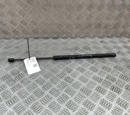 Tailgate/trunk strut/damper