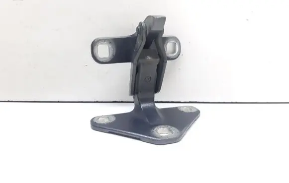 BMW X5 E70 Tailgate hinge 141879