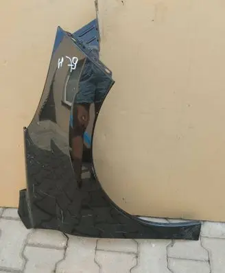 Peugeot 207 Fender BLOTNIK207PRAWY