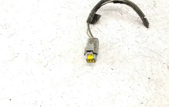 Renault Espace - Grand espace IV Other wiring loom