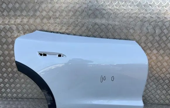 Porsche Taycan 9J1 Rear door 