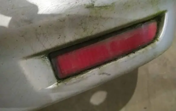 Toyota Avensis Verso Rear tail light reflector 