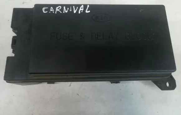 KIA Carnival Fuse module 10041101090