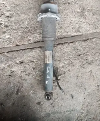 BMW X6 E71 Rear shock absorber/damper 14941510