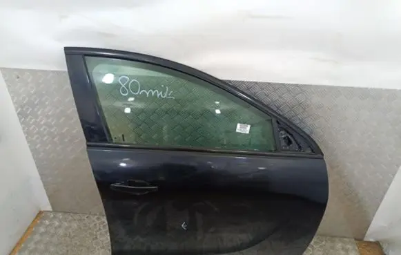 Opel Insignia A Front door