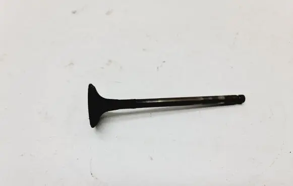 Chevrolet Epica Valve 96417286