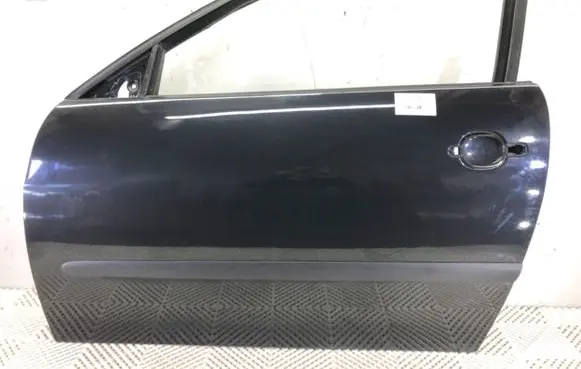 Seat Ibiza III (6L) Front door