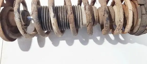 Volkswagen PASSAT B3 Rear coil spring