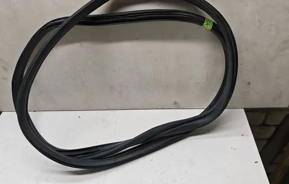 Hyundai Ioniq 5 Rear door rubber seal (on body) 